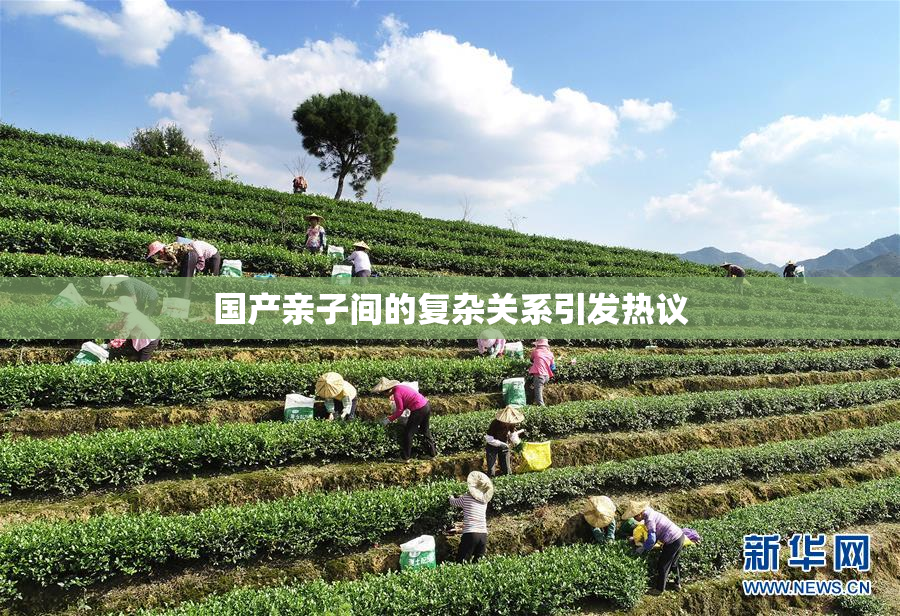 国产亲子间的复杂关系引发热议