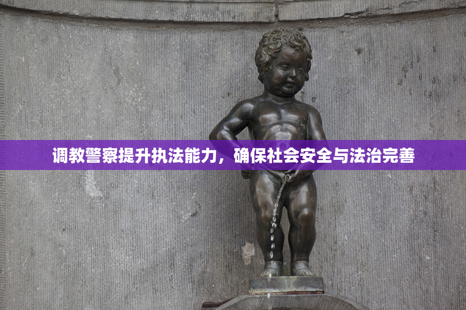 调教警察提升执法能力，确保社会安全与法治完善