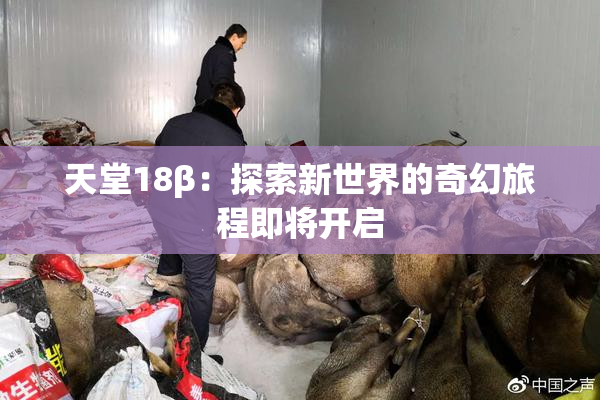 天堂18β：探索新世界的奇幻旅程即将开启