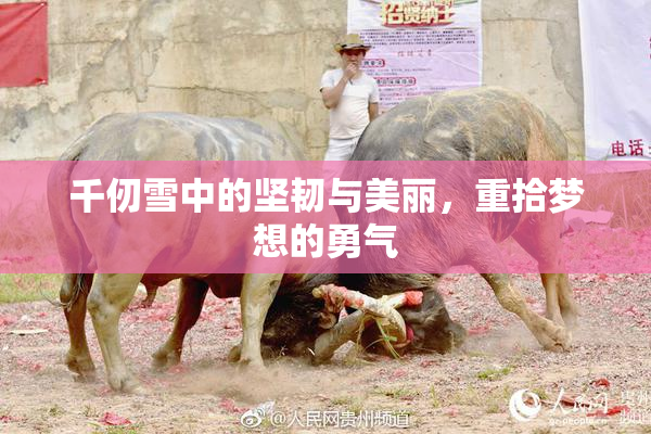 千仞雪中的坚韧与美丽，重拾梦想的勇气