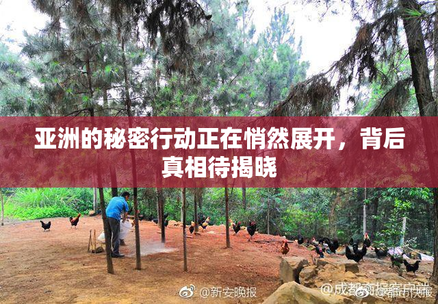 亚洲的秘密行动正在悄然展开，背后真相待揭晓