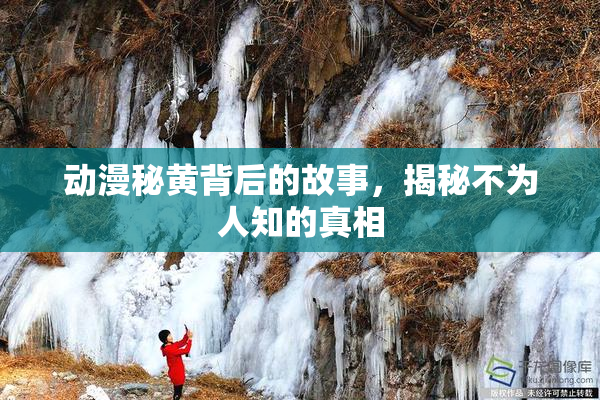 动漫秘黄背后的故事，揭秘不为人知的真相