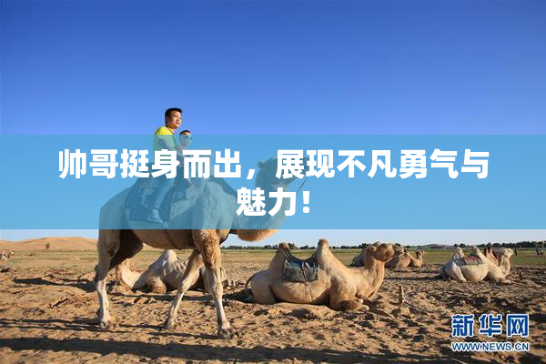 帅哥挺身而出，展现不凡勇气与魅力！