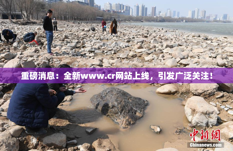 重磅消息：全新www.cr网站上线，引发广泛关注！