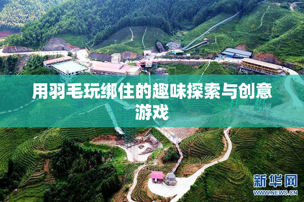 用羽毛玩绑住的趣味探索与创意游戏