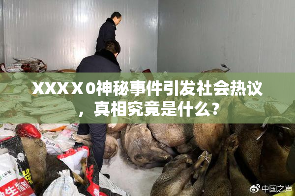 XXXⅩ0神秘事件引发社会热议，真相究竟是什么？