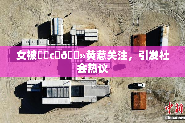 女被❌‌c‌🐻黄惹关注，引发社会热议