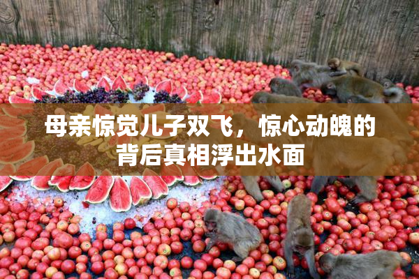 母亲惊觉儿子双飞，惊心动魄的背后真相浮出水面