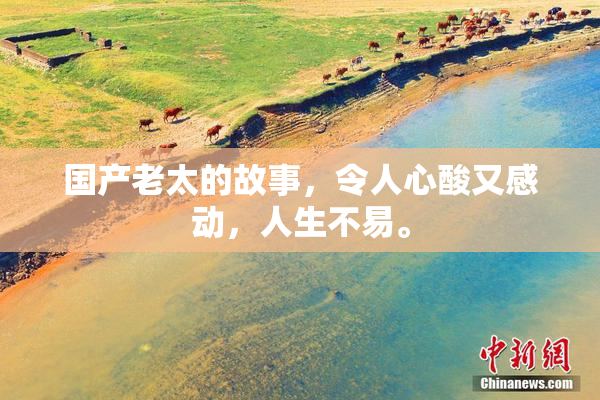 国产老太的故事，令人心酸又感动，人生不易。