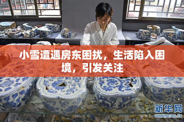 小雪遭遇房东困扰，生活陷入困境，引发关注
