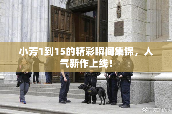 小芳1到15的精彩瞬间集锦，人气新作上线！