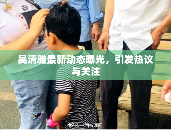 吴清雅最新动态曝光，引发热议与关注