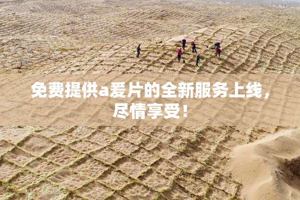 免费提供a爰片的全新服务上线，尽情享受！