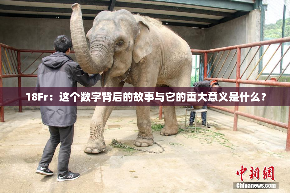 18Fr：这个数字背后的故事与它的重大意义是什么？