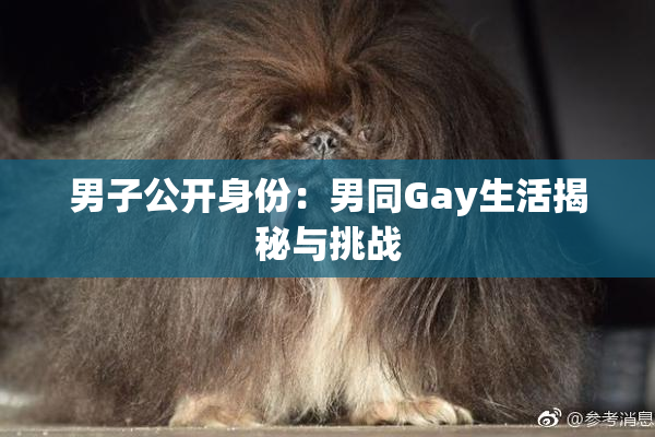 男子公开身份：男同Gay生活揭秘与挑战