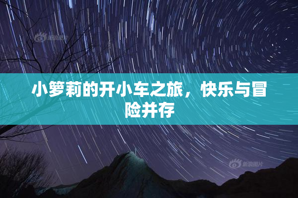 小箩莉的开小车之旅，快乐与冒险并存