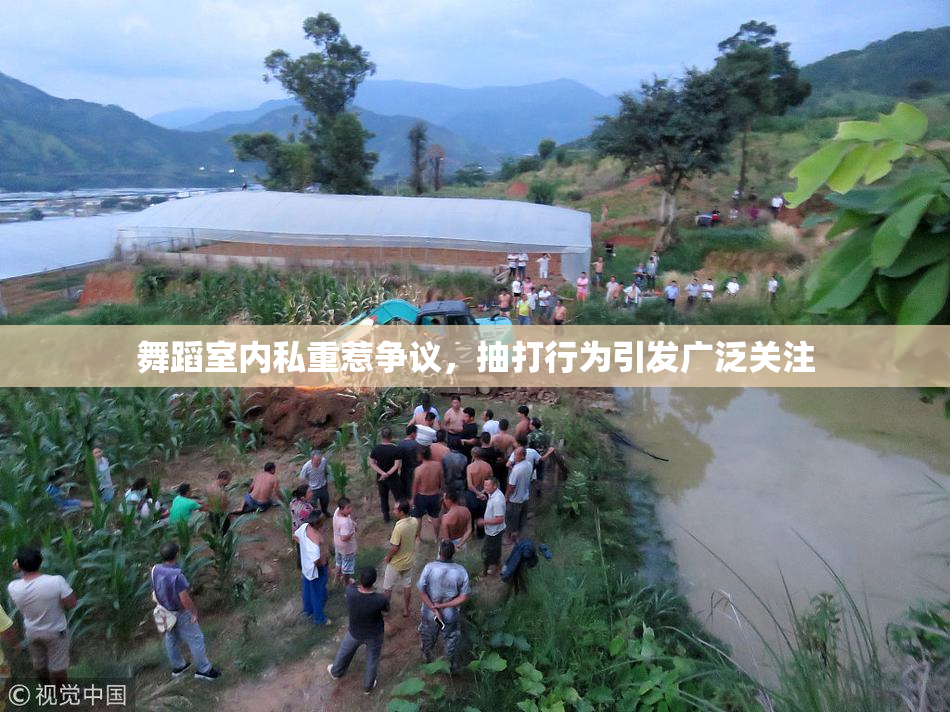 舞蹈室内私重惹争议，抽打行为引发广泛关注