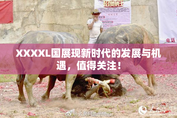 XXXXL国展现新时代的发展与机遇，值得关注！