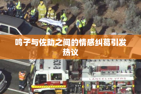 鸣子与佐助之间的情感纠葛引发热议