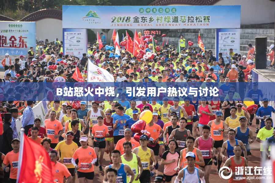 B站怒火中烧，引发用户热议与讨论