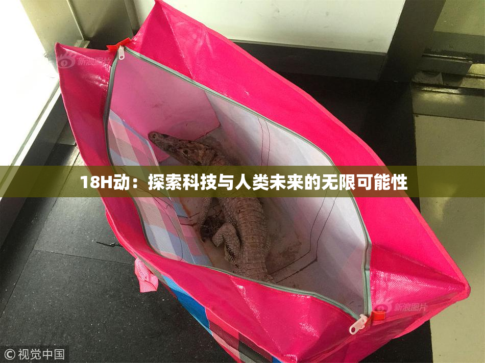 18H动：探索科技与人类未来的无限可能性