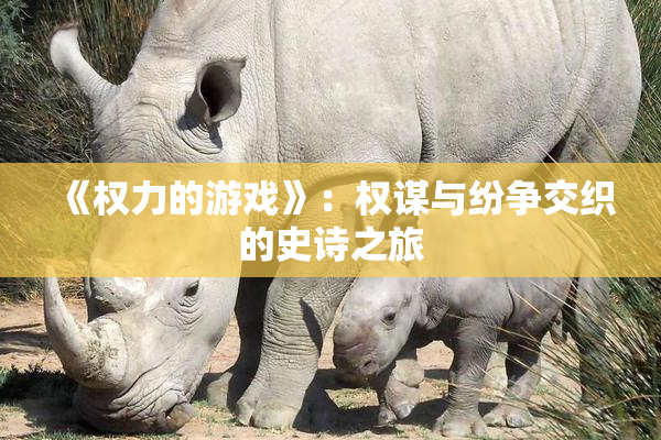 《权力的游戏》：权谋与纷争交织的史诗之旅