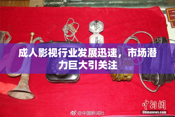 成人影视行业发展迅速，市场潜力巨大引关注