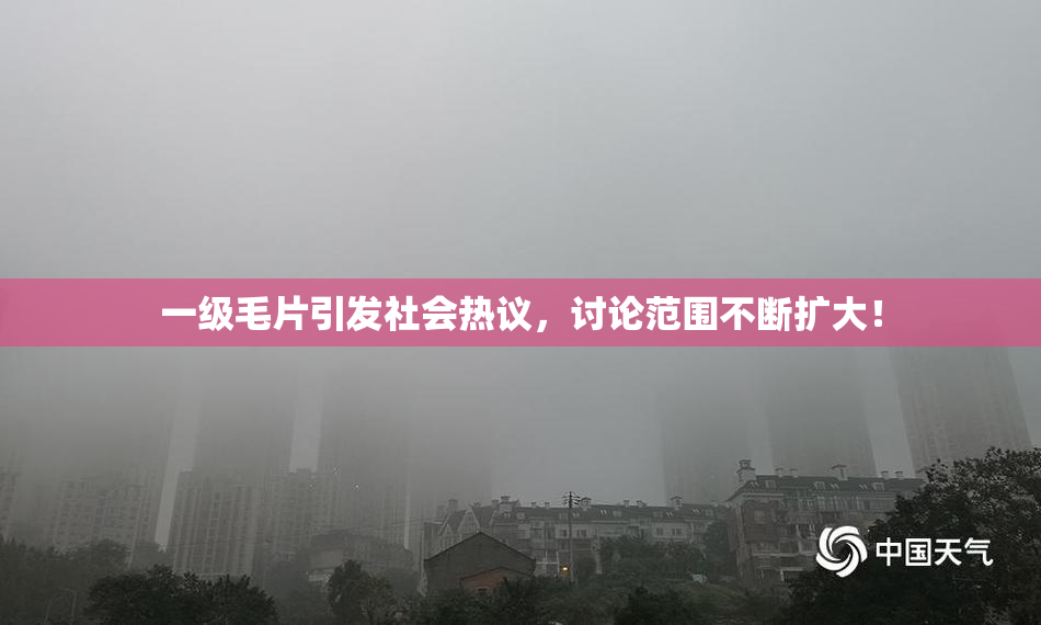 一级毛片引发社会热议，讨论范围不断扩大！