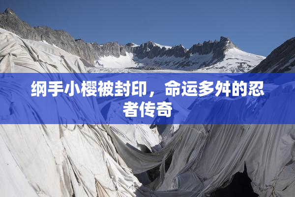 纲手小樱被封印，命运多舛的忍者传奇
