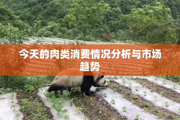 今天的肉类消费情况分析与市场趋势