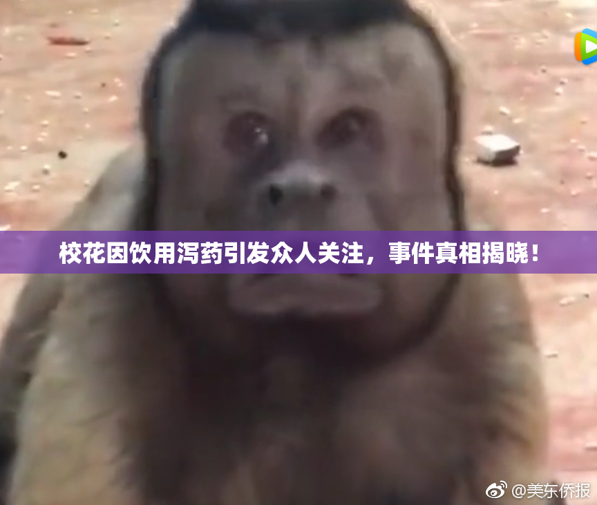 校花因饮用泻药引发众人关注，事件真相揭晓！
