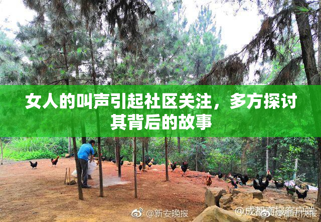 女人的叫声引起社区关注，多方探讨其背后的故事