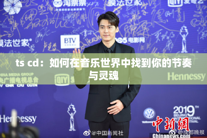 ts cd：如何在音乐世界中找到你的节奏与灵魂