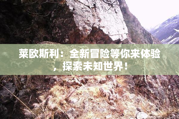 莱欧斯利：全新冒险等你来体验，探索未知世界！