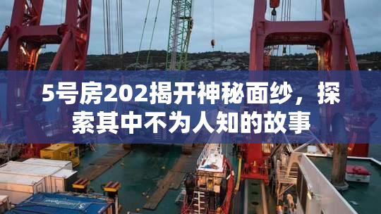 5号房202揭开神秘面纱，探索其中不为人知的故事
