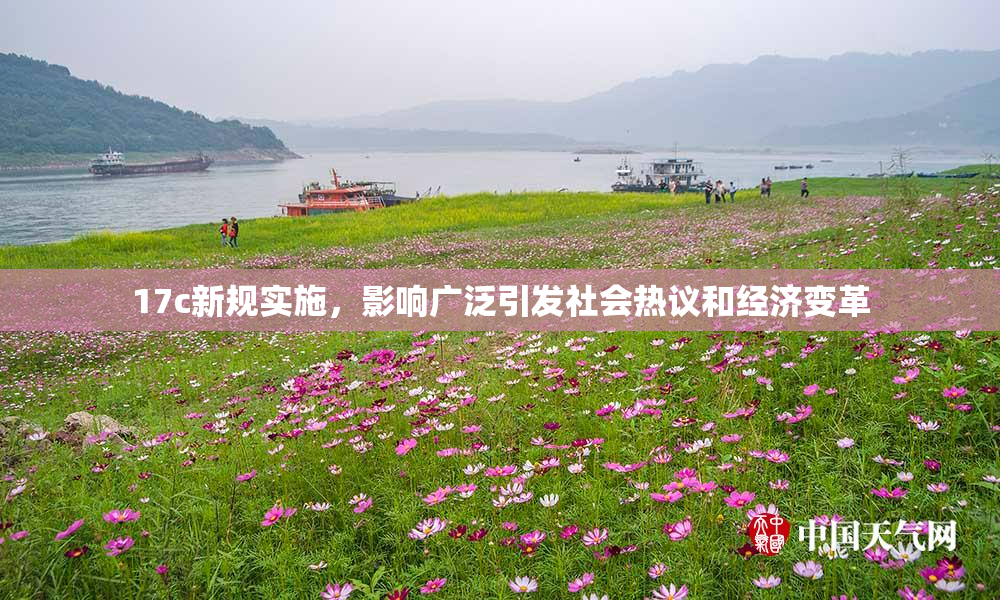 17c新规实施，影响广泛引发社会热议和经济变革