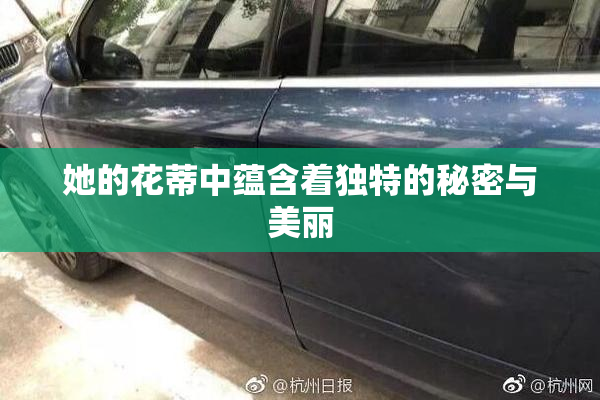 她的花蒂中蕴含着独特的秘密与美丽