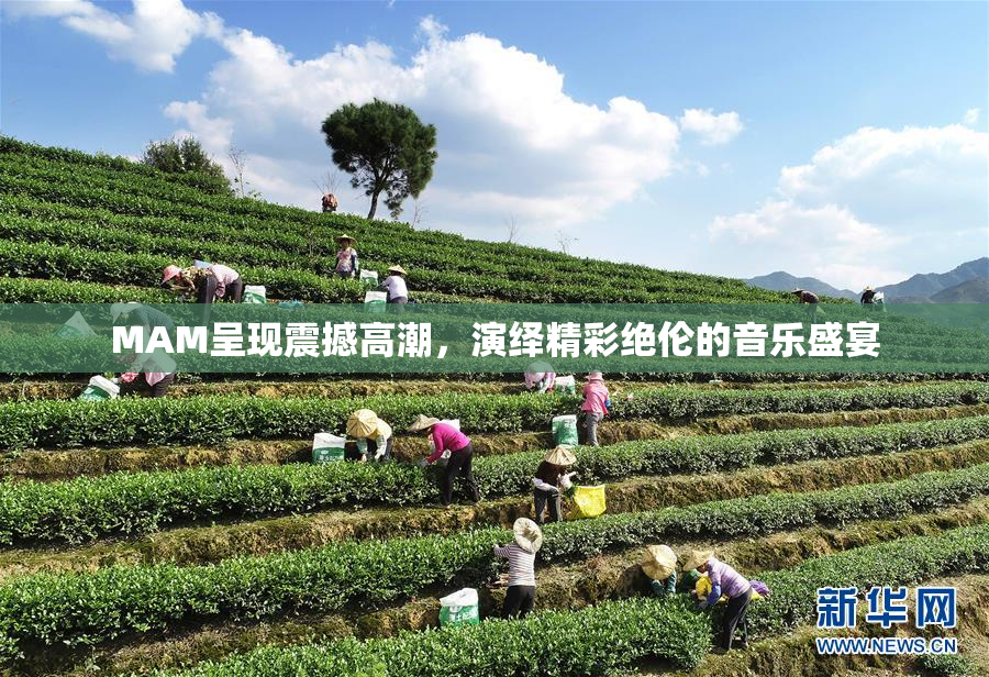 MAM呈现震撼高潮，演绎精彩绝伦的音乐盛宴