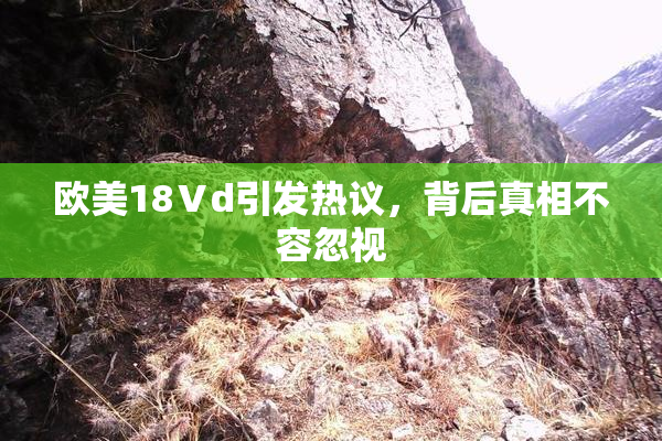 欧美18Ⅴd引发热议，背后真相不容忽视