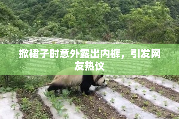 掀裙子时意外露出内裤，引发网友热议