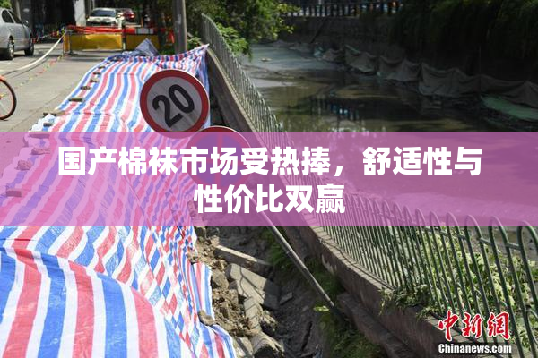 国产棉袜市场受热捧，舒适性与性价比双赢
