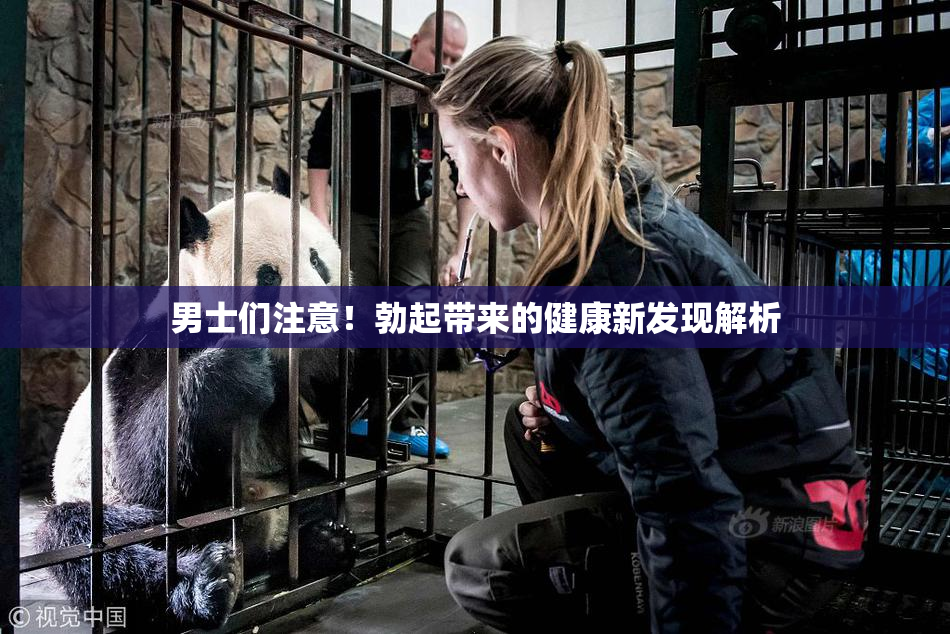 男士们注意！勃起带来的健康新发现解析