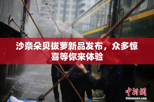 沙奈朵贝拔萝新品发布，众多惊喜等你来体验