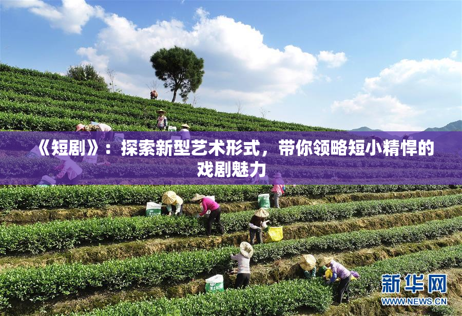 《短剧》：探索新型艺术形式，带你领略短小精悍的戏剧魅力