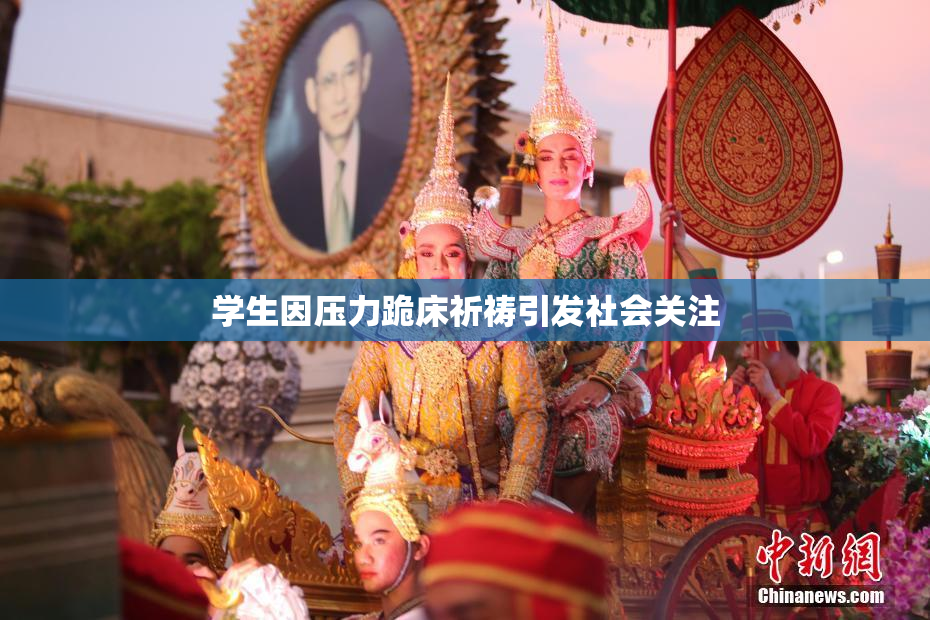 学生因压力跪床祈祷引发社会关注