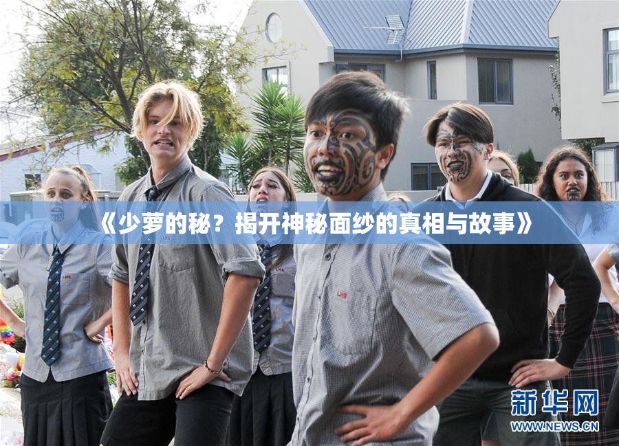 《少萝的秘？揭开神秘面纱的真相与故事》