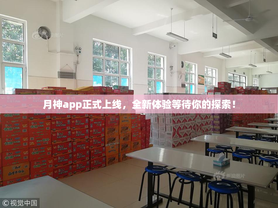 月神app正式上线，全新体验等待你的探索！