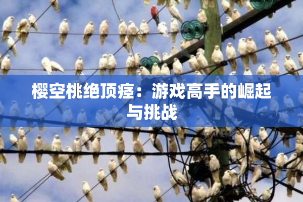 樱空桃绝顶痉：游戏高手的崛起与挑战