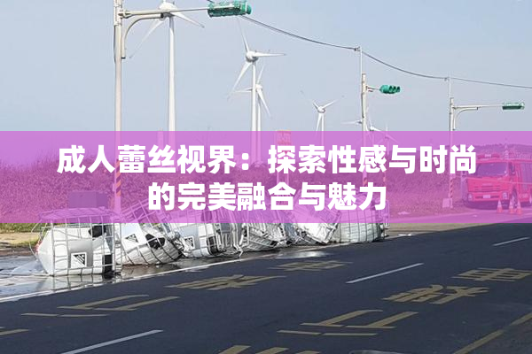 成人蕾丝视界：探索性感与时尚的完美融合与魅力