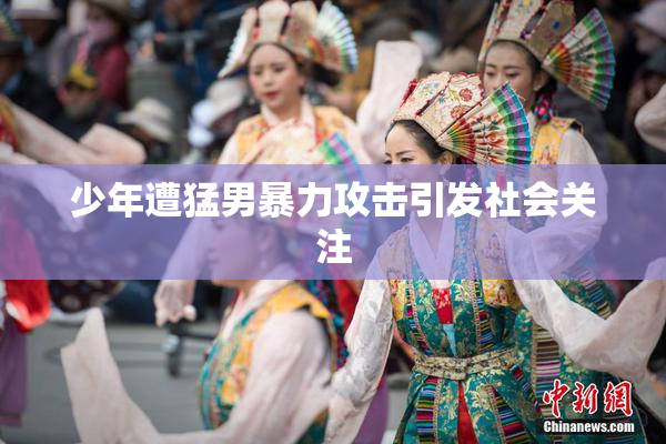 少年遭猛男暴力攻击引发社会关注